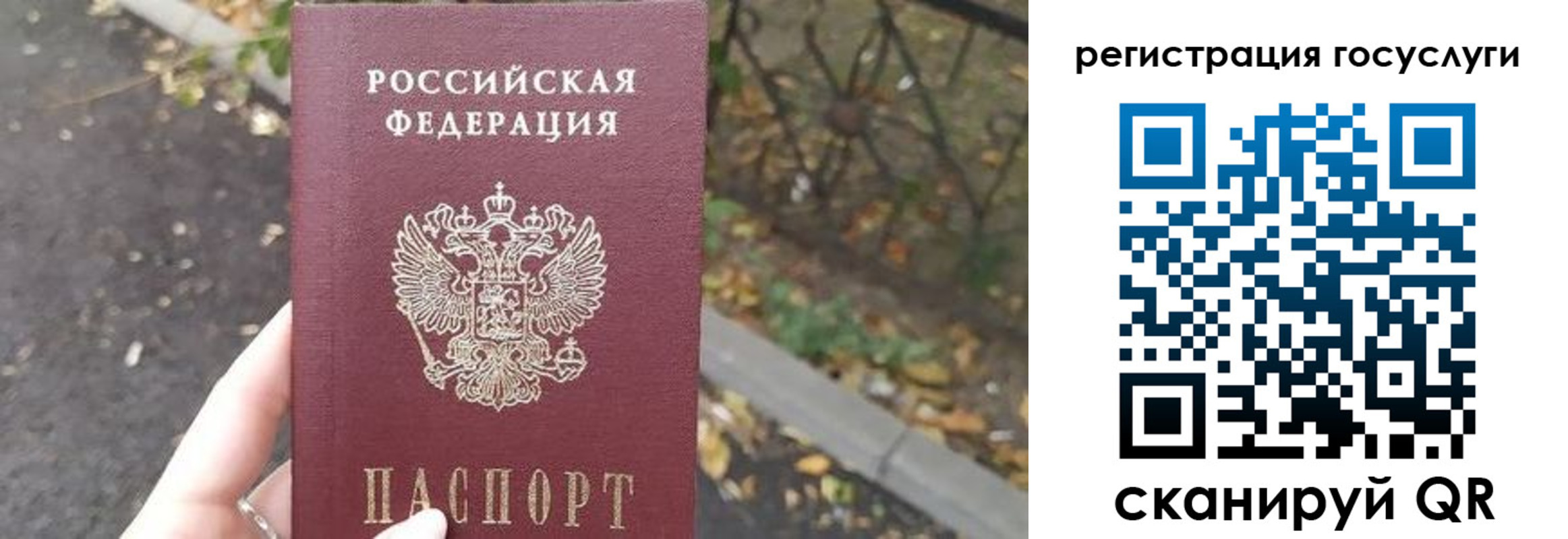 купить прописку в Зее